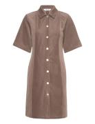 Srmeggy Dress Kort Kjole Brown Soft Rebels