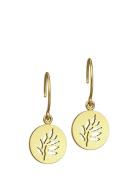 Signature Earring - Gold Øredobber Smykker Gold Julie Sandlau