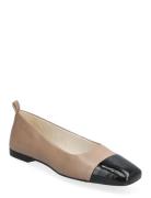 Delia Ballerinasko Ballerinaer Brown VAGABOND