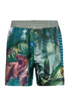 Swimming Shorts Badeshorts Multi/patterned Jurassic World