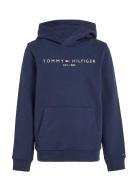 Essential Hoodie Tops Sweat-shirts & Hoodies Hoodies Navy Tommy Hilfig...