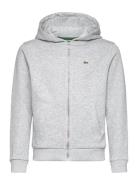 Sweatshirts Sport Sweat-shirts & Hoodies Hoodies Grey Lacoste