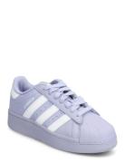 Superstar Xlg W Sport Sneakers Low-top Sneakers Purple Adidas Original...