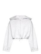 Cropped Hoody Jacket Tops Sweat-shirts & Hoodies Hoodies Grey Tom Tail...