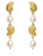 Shell Pearl Earrings Øredobber Smykker Gold Caroline Svedbom