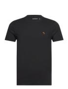 Anf Mens Knits Tops T-shirts Short-sleeved Black Abercrombie & Fitch