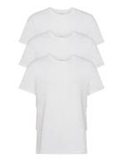 S/S Crew Neck 3Pk Tops T-shirts Short-sleeved White Calvin Klein