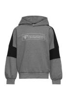 Hmlboxline Hoodie Sport Sweat-shirts & Hoodies Hoodies Grey Hummel