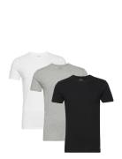 Bci Cotton-3Pk-Ucr Tops T-shirts Short-sleeved Black Polo Ralph Lauren...