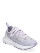 Aery Sol 1V Sport Sneakers Low-top Sneakers Purple Viking