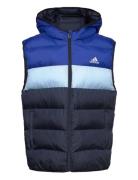 J Sd Vest Fôret Vest Blue Adidas Sportswear