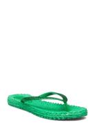 Flipflop With Glitter Shoes Summer Shoes Sandals Flip Flops Green Ilse...