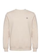 Oakport Sweatshirt Designers Sweat-shirts & Hoodies Sweat-shirts Cream...