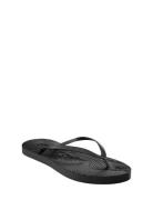 Slim Eggnog Flip Flop Shoes Summer Shoes Sandals Flip Flops Black SLEE...