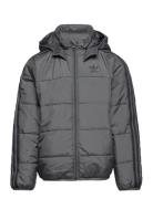 Padded Jacket Sport Jackets & Coats Puffer & Padded Grey Adidas Origin...