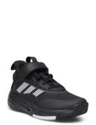 Ownthegame 3.0 K Sport Sneakers High-top Sneakers Black Adidas Sportsw...