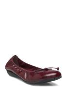 Bo Ballerinasko Ballerinaer Burgundy Wonders