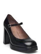 Kravitz Shoes Heels Pumps Classic Black Wonders