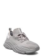 Prospect Sneaker Lave Sneakers Grey Steve Madden