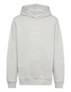 Dexter Hoodie Kids Tops Sweat-shirts & Hoodies Hoodies Grey Les Deux