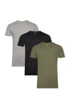 Bci Cotton-3Pk-Ucr Tops T-shirts Short-sleeved Green Polo Ralph Lauren...