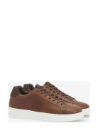 Barbour Ponting Sneake Lave Sneakers Brown Barbour