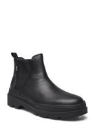 Brutus Trek Støvletter Chelsea Boot Black Camper