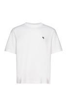 Anf Mens Knits Tops T-shirts Short-sleeved White Abercrombie & Fitch