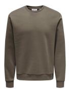 Onsceres Crew Neck Noos Tops Sweat-shirts & Hoodies Sweat-shirts Brown...