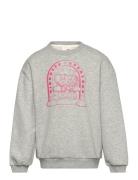 Sweatshirt Tops Sweat-shirts & Hoodies Sweat-shirts Grey Sofie Schnoor...