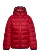 Hooded Jacket Sport Jackets & Coats Puffer & Padded Red Champion