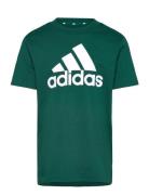 U Bl Tee Sport T-shirts Short-sleeved Green Adidas Sportswear