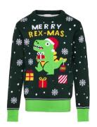 Sweet Christmas Dino Kids Tops Knitwear Pullovers Green Christmas Swea...