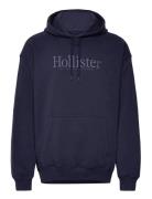 Hco. Guys Sweatshirts Tops Sweat-shirts & Hoodies Hoodies Navy Hollist...