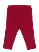 Leggings Rib Newborn Bottoms Leggings Burgundy Lindex