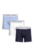 Stretch Cotton Boxer Brief 3-Pack Boksershorts Navy Polo Ralph Lauren ...