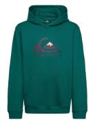 Big Logo Hoodie Youth Tops Sweat-shirts & Hoodies Hoodies Green Quiksi...