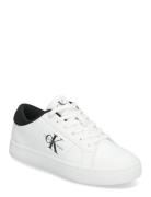 Classic Cupsole Lowlaceup Lth Wn Lave Sneakers White Calvin Klein