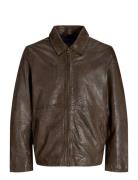 Jorcrincle Leather Jkt Styd Aw24 Skinnjakke Skinnjakke Brown Jack & J ...