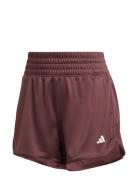 Pacer Knit High Sport Shorts Sport Shorts Burgundy Adidas Performance