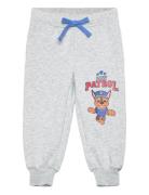 Pant Bottoms Sweatpants Grey Paw Patrol