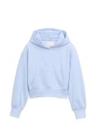 Hoody Tops Sweat-shirts & Hoodies Hoodies Blue Tom Tailor