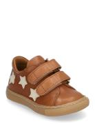 Shoes - Flat - With Velcro Lave Sneakers Brown ANGULUS