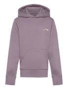 Arch Po Lt Sport Sweat-shirts & Hoodies Hoodies Purple Billabong