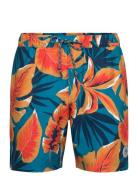 7" Volley Rec Aop Tr Badeshorts Multi/patterned Original Penguin