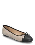 Cate Ballerinasko Ballerinaer Black Dasia