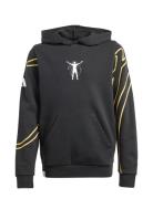 Jb Cw Hd Y Tops Sweat-shirts & Hoodies Hoodies Black Adidas Performanc...