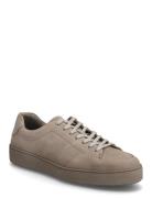 Sinny Lave Sneakers Brown Tiger Of Sweden