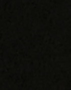 Dr Denim - Svart - Cove