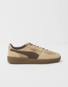 Puma - Brun - Palermo Pop